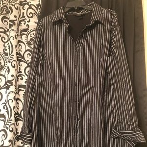 Ashley Stewart Black and Glitter Blouse